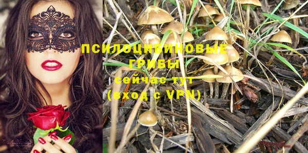 винт Армянск