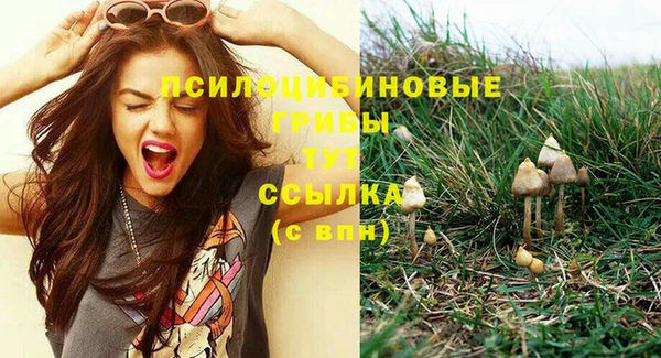 бутират Арсеньев